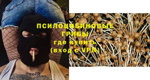 ГАЛЛЮЦИНОГЕННЫЕ ГРИБЫ Алексин