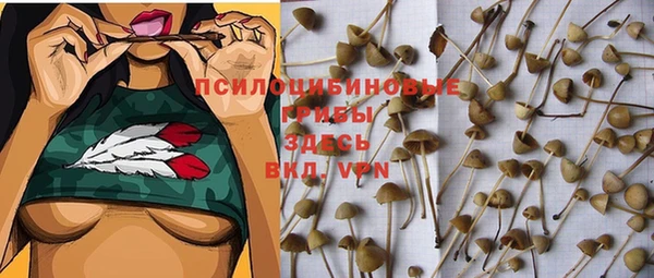 ГАЛЛЮЦИНОГЕННЫЕ ГРИБЫ Алексин