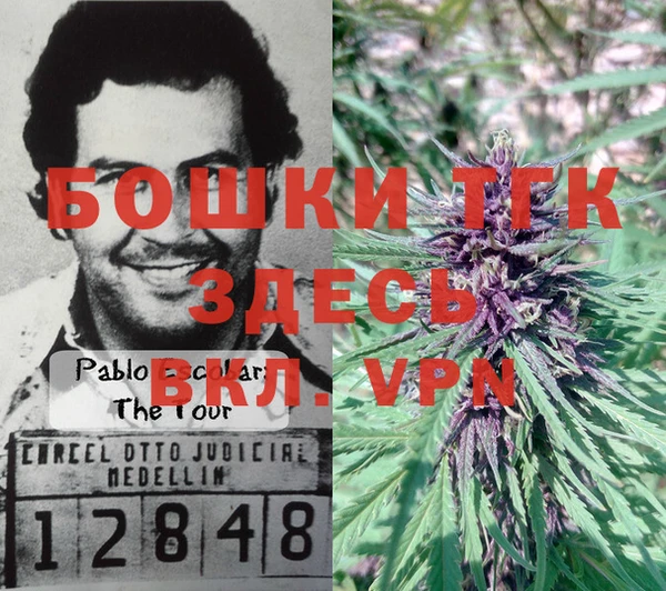 винт Алзамай