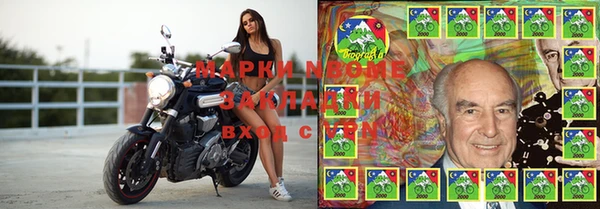 винт Алзамай