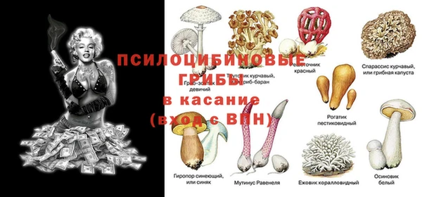 крисы Алексеевка