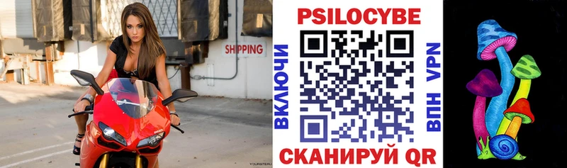 Галлюциногенные грибы Psilocybine cubensis  магазин    hydra как войти  Абакан 