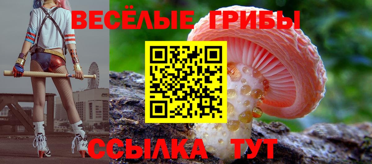 Галлюциногенные грибы GOLDEN TEACHER  купить закладку  Абакан  Вход с VPN 